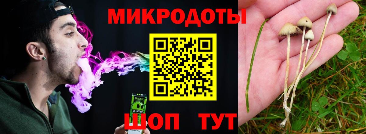 Новоалтайск  Псилоцибиновые грибы мицелий  Псилоцибиновые грибы ЛСД  Вход с VPN 